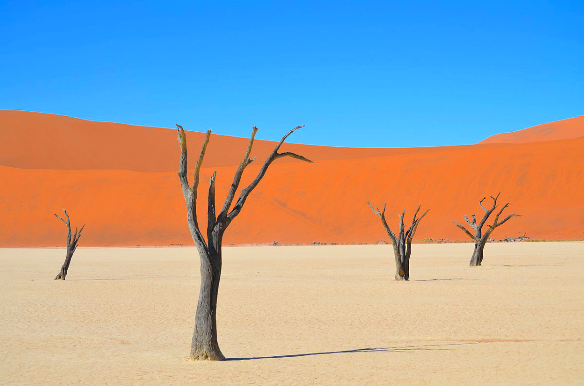 New Namibia Tour Private